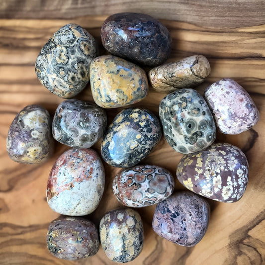 Leopard Skin Jasper Piece